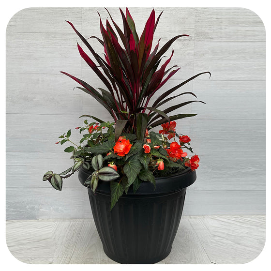 Shade arrangement Mega Orange Mix