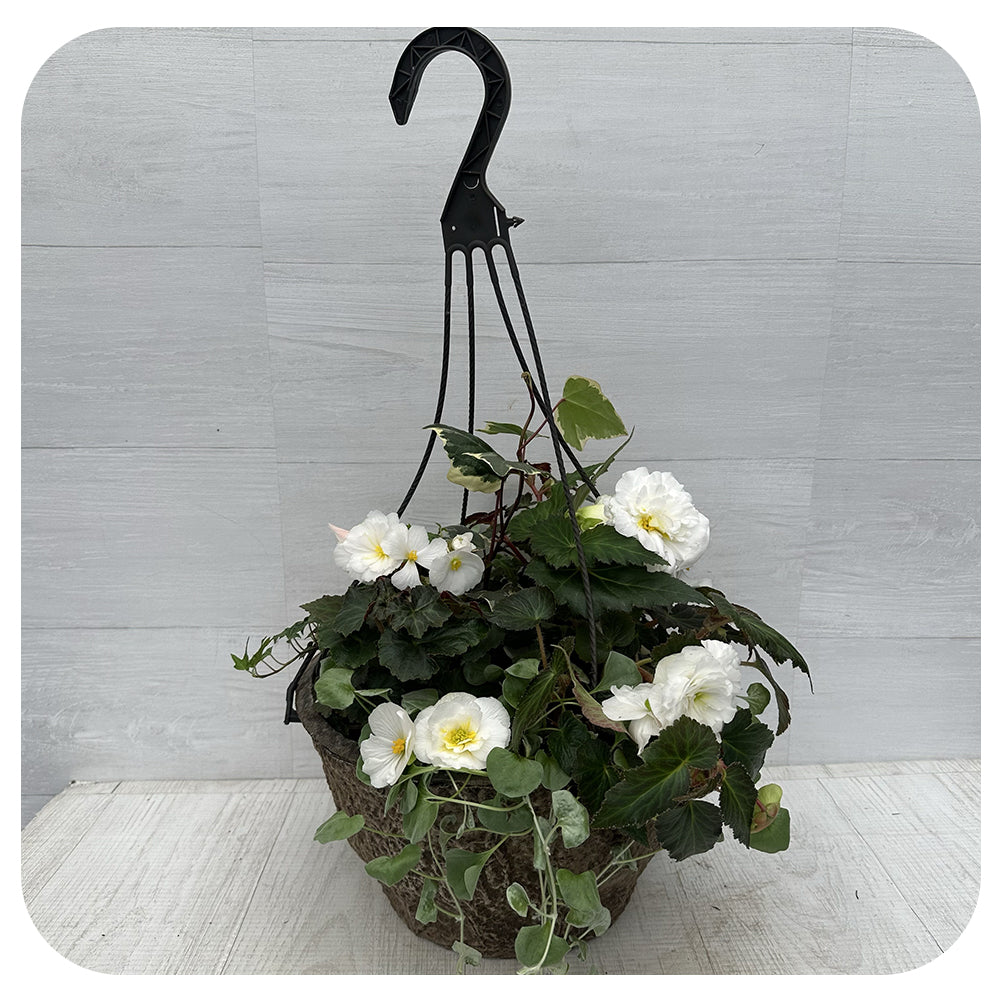 Hanging Basket Shade - White Mix