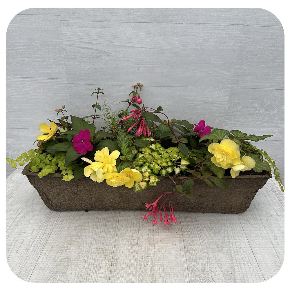 Window Box Shade- Yellow Mix
