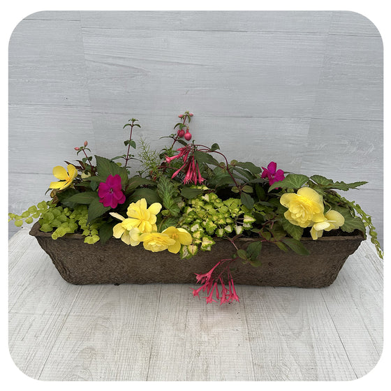 Window Box Shade- Yellow Mix