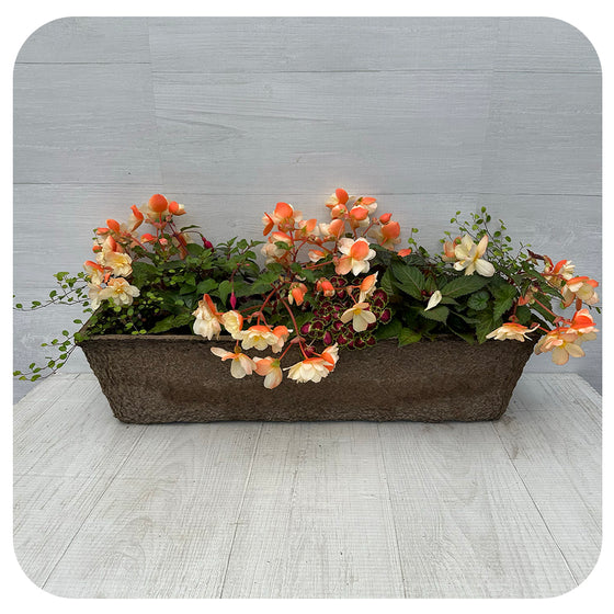 Window Box Shade- Bright Peach Mix
