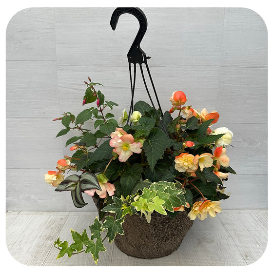 Hanging Basket Shade - Bright Peach Mix