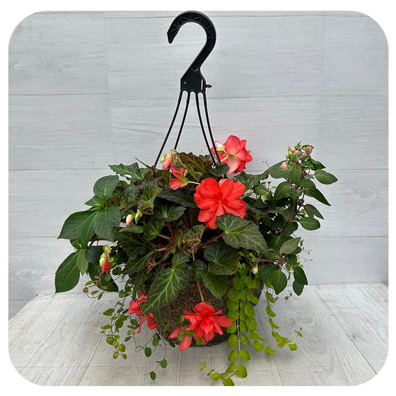 Hanging Basket Shade - Orange Mix