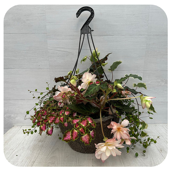 Hanging Basket Shade - Light Peach Mix