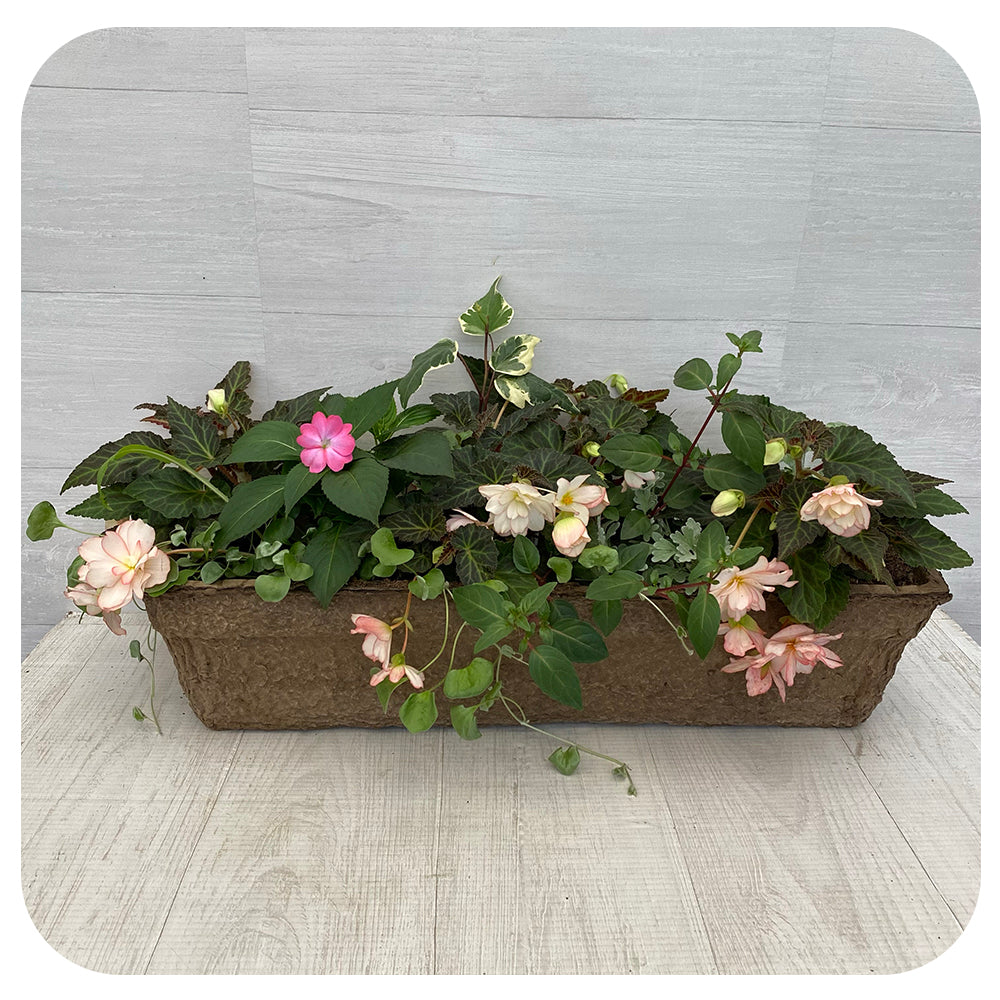 Window Box Shade - Soft Peach Mix