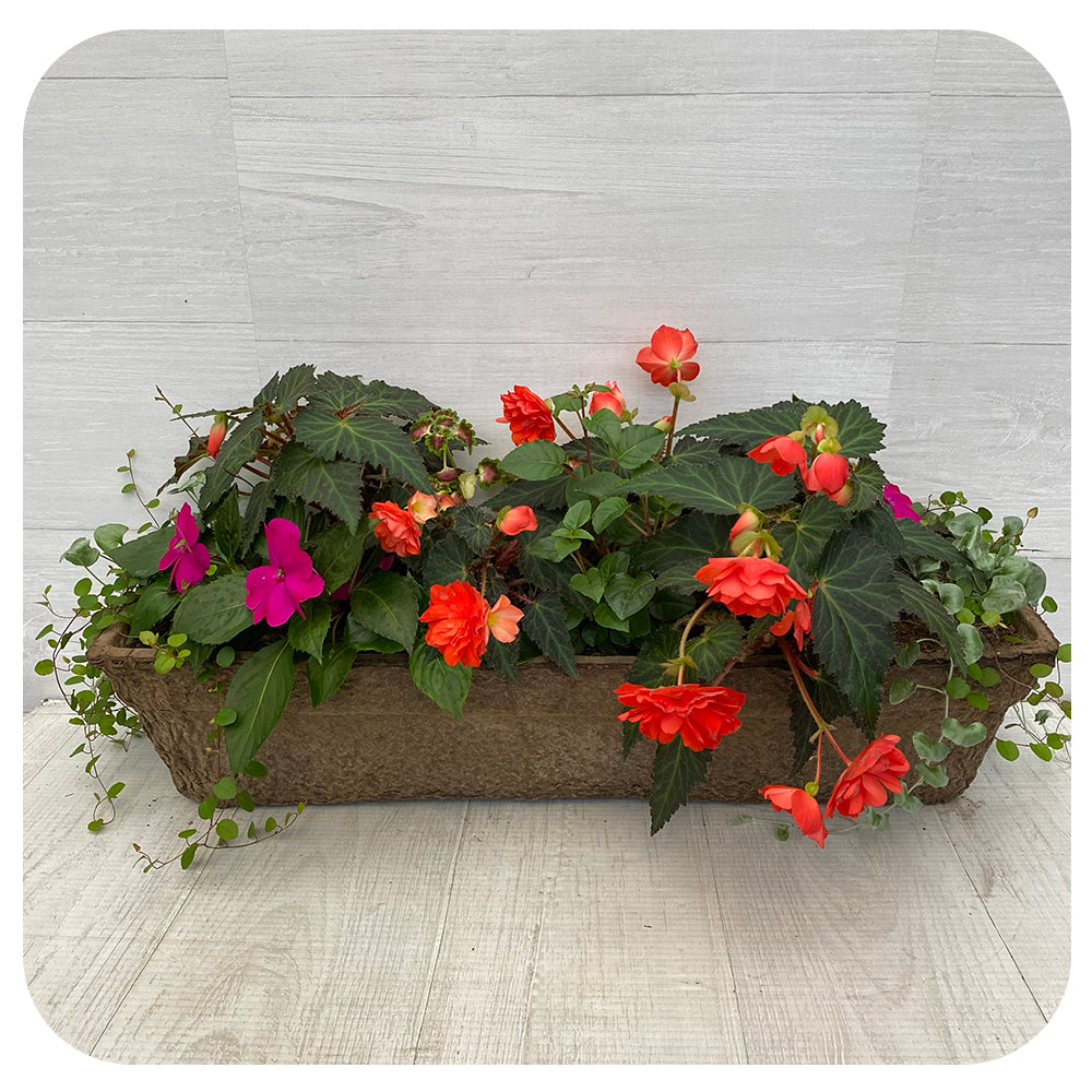 Window Box Shade- Orange mix