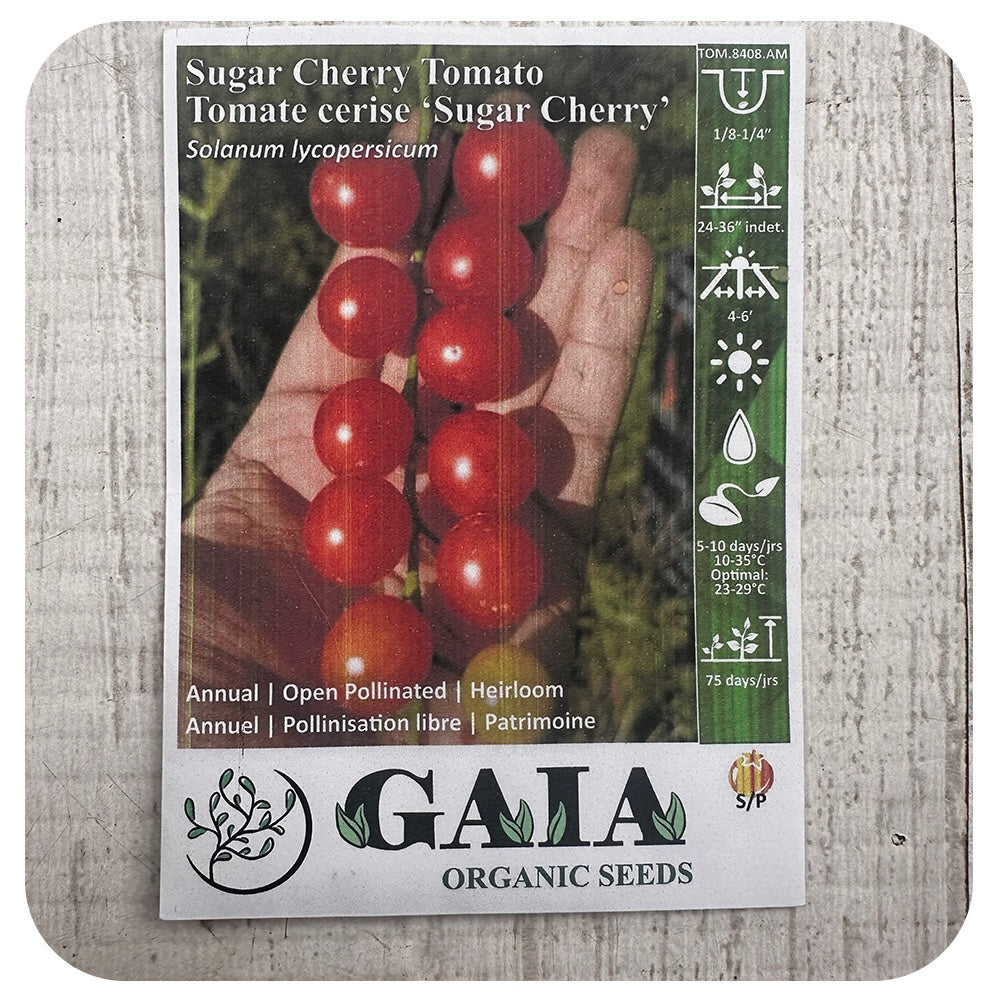Sugar Cherry Tomato Seeds (Organic)