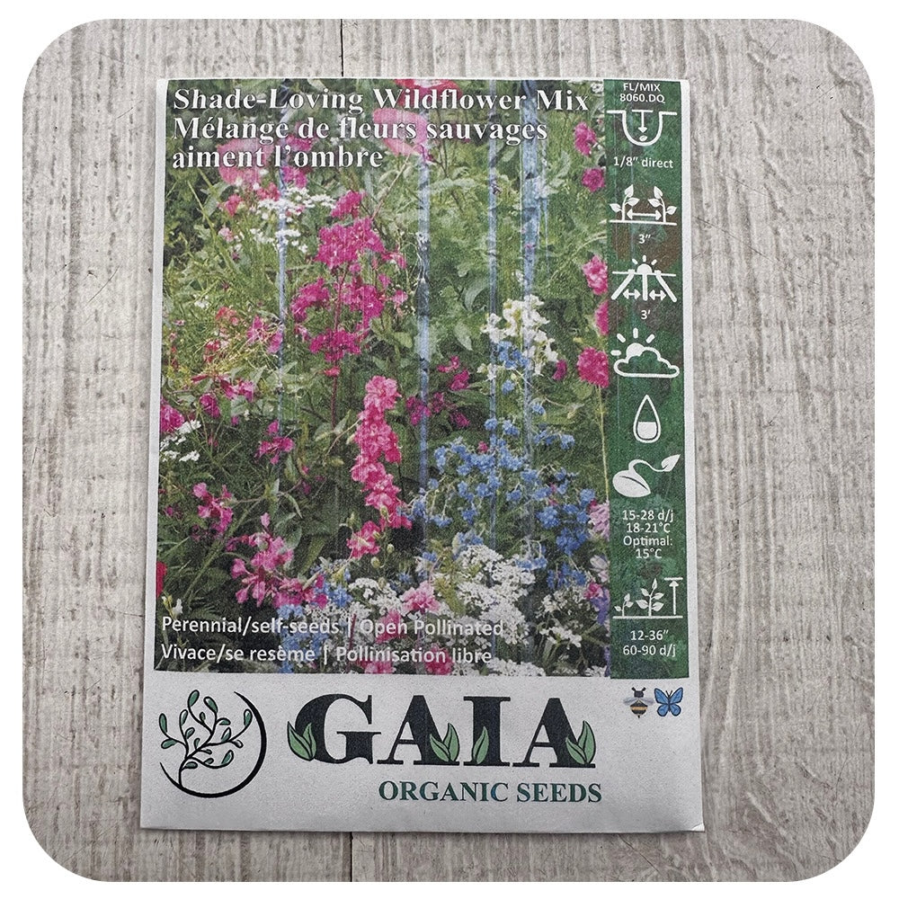 Wildflower MIx for Shade Seeds