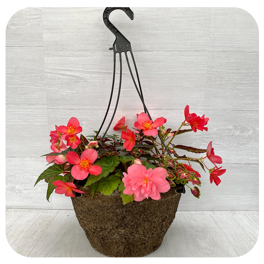 Hanging Basket Shade - Pink and Orange Mix