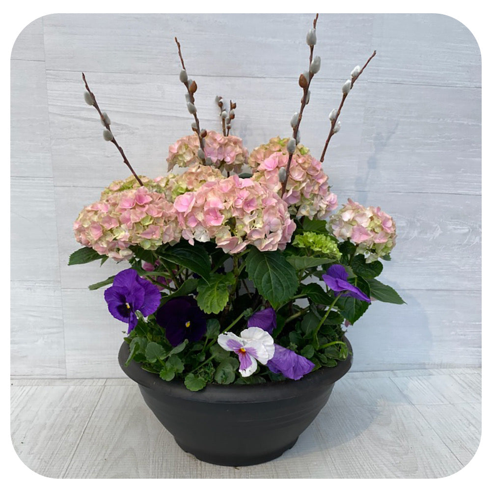 Spring Arrangements