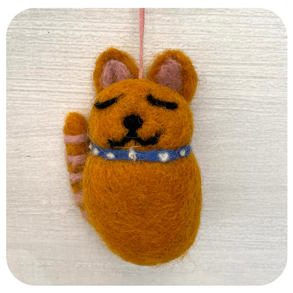 Smiling Cats - 100% Sheep Wool
