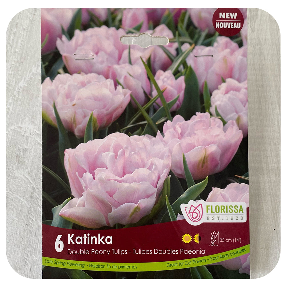 Tulip 'Katinka'
