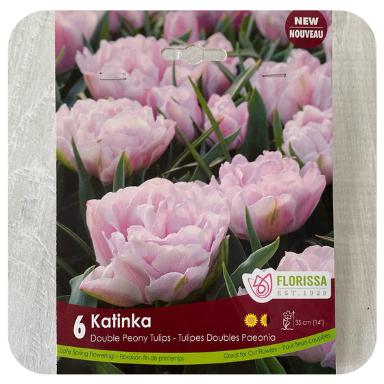 Tulip 'Katinka'