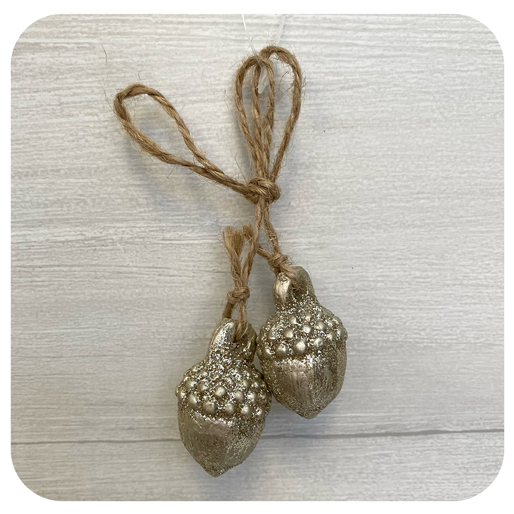 Pair of Acorns or Pinecones