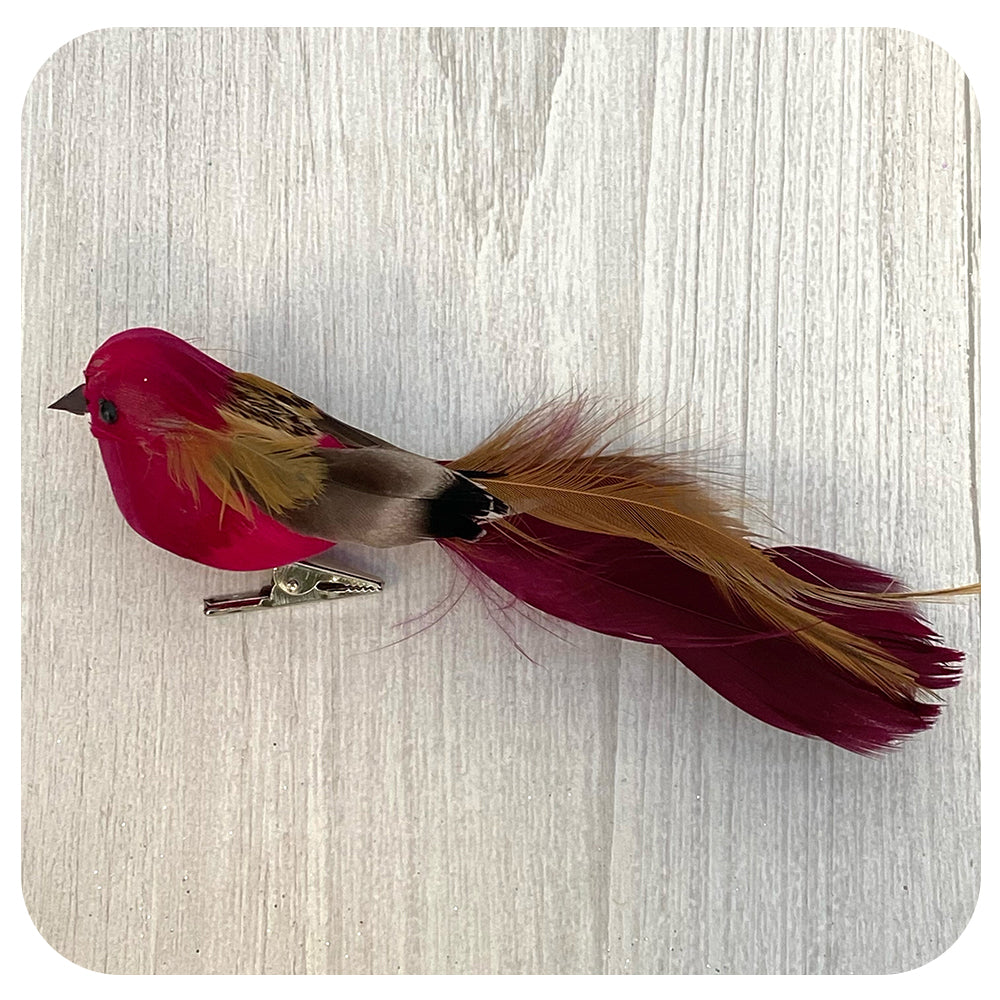 Burgundy Bird Clip