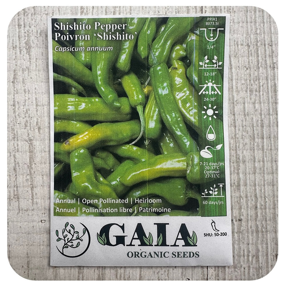 Shishito Mild Hot Pepper Seeds (Organic)