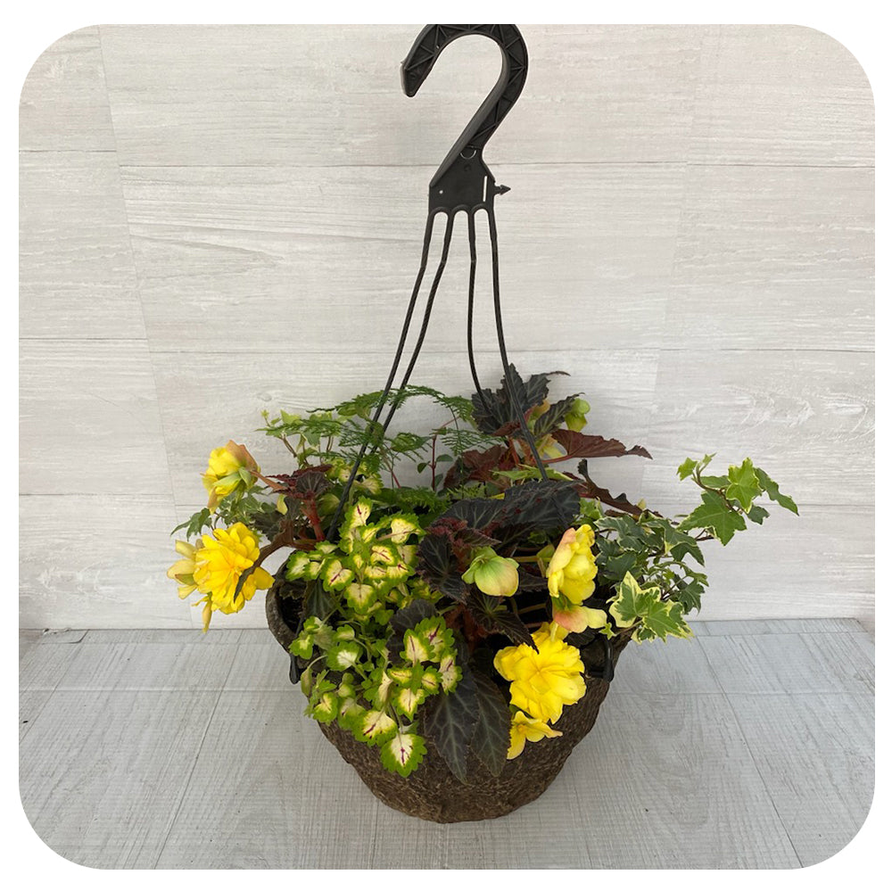 Hanging Basket Shade - Yellow Mix