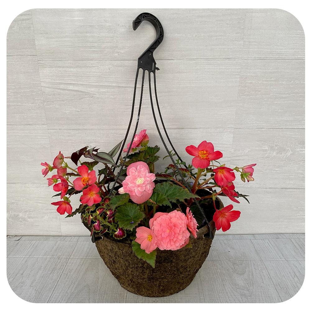 Hanging Basket Shade - Pink Mix
