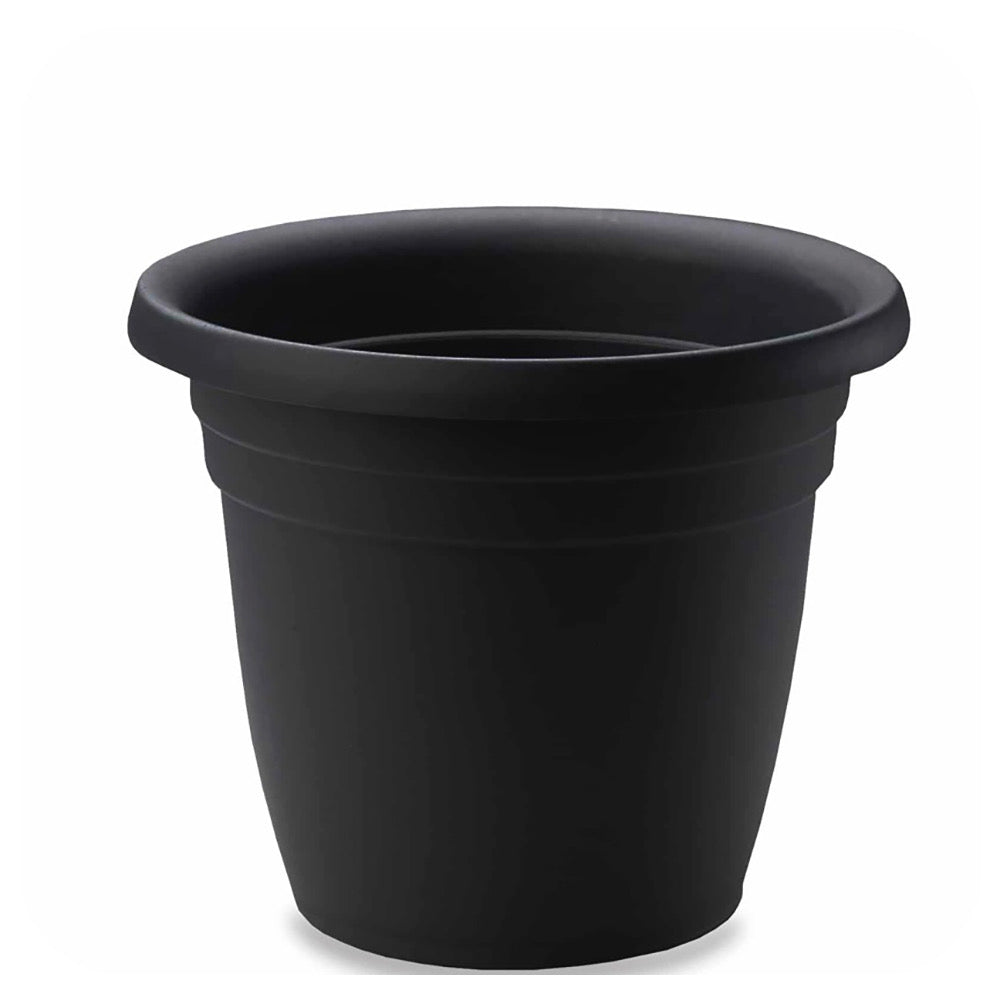 Emma Planter