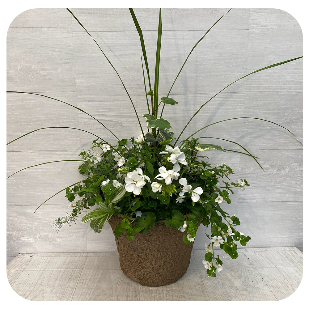 Sun arrangement round - White mix