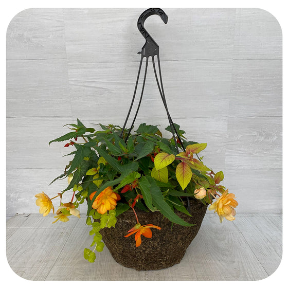 Hanging Basket Shade - Yellow Orange Mix