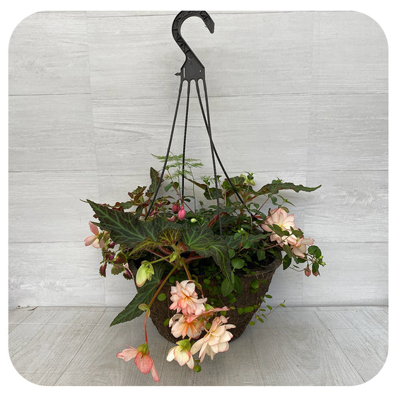 Hanging Basket Shade - White Mix