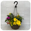 Hanging Basket Shade - Yellow Mix with Magenta New Gunea