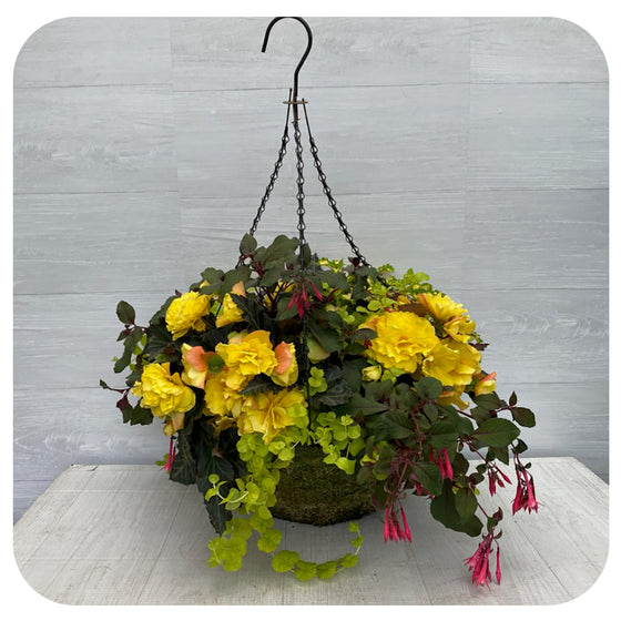 Moss Hanging Basket Shade Yellow Mix