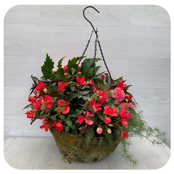 Moss Hanging Basket Shade Pink Mix