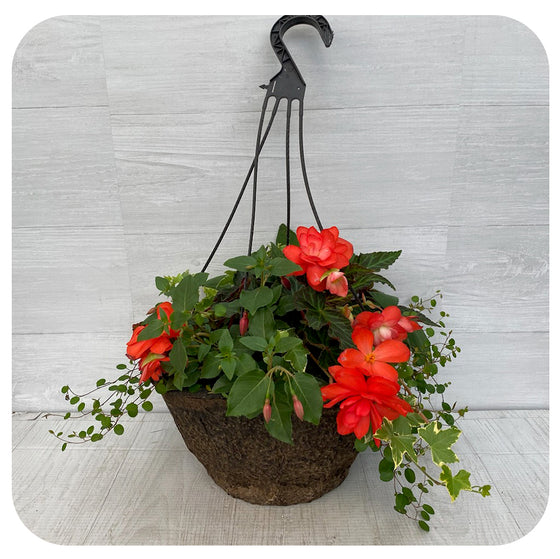 Hanging Basket Shade - Red mix