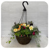 Hanging Basket Shade - Bright Peach Mix