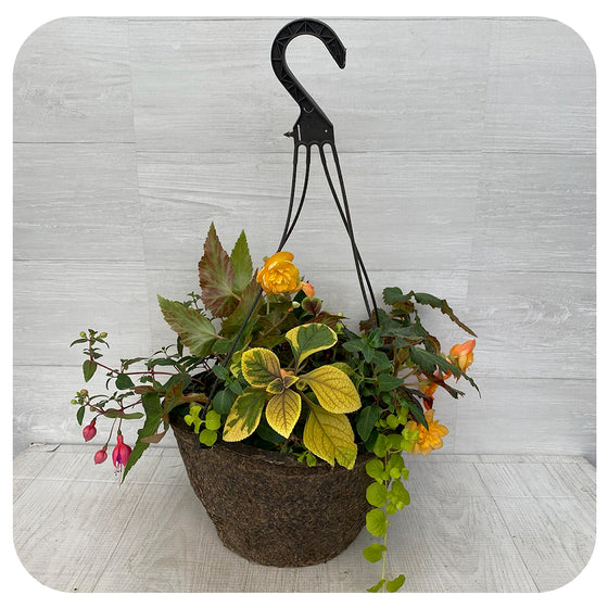 Hanging Basket Shade - Peach Mix