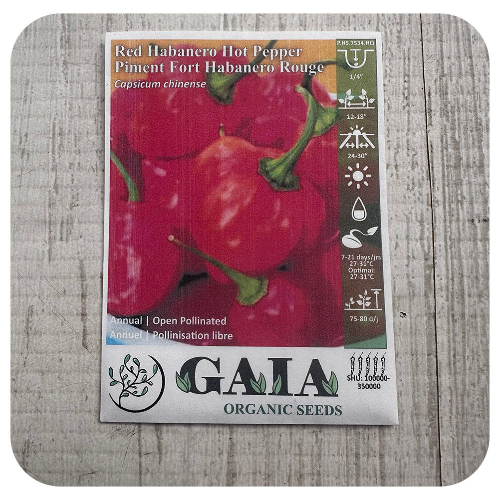 Red Habanero Hot Pepper Seeds (Organic)