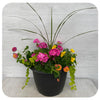 Sun arrangement round - Pink Geranium with Yellow Bidens and Lantana