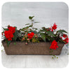 Window Box Shade- Orange mix