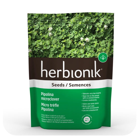 White Micro Clover Seeds (100 % White clover Micro Pipolina)