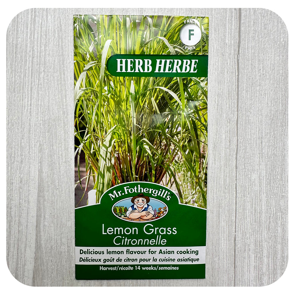 lemongrass plant seeds Lemongrass Seeds (Mr. Fothergill's)