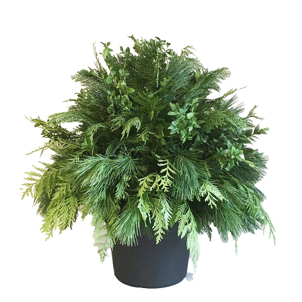 Urn - Green Mix Boxwood