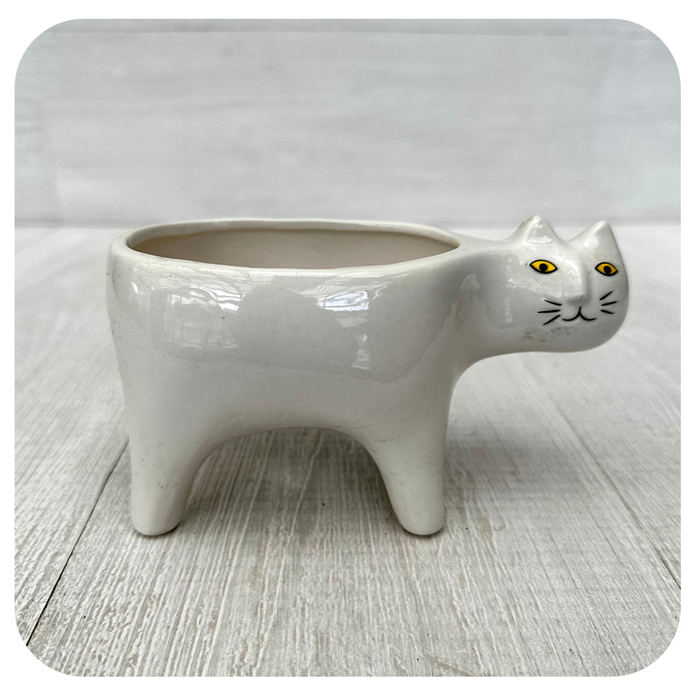 Walking Cat Pot