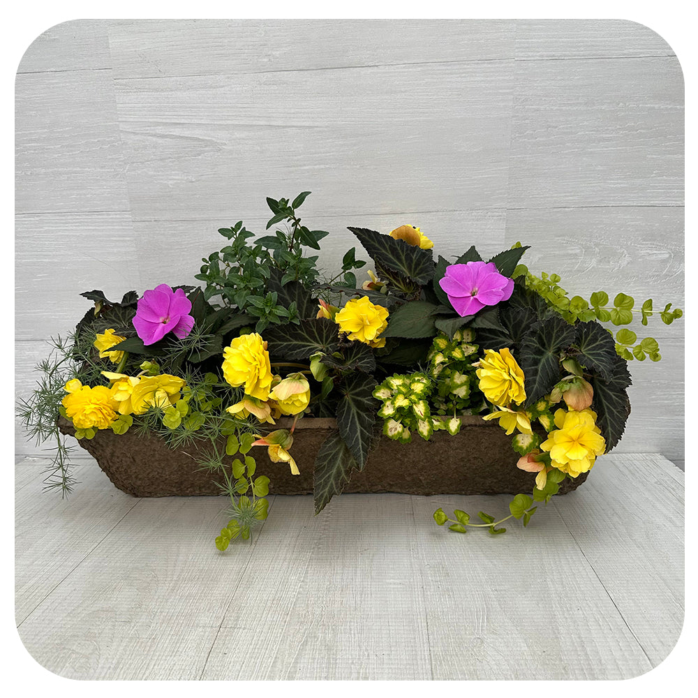 Window Box Shade- Yellow Mix