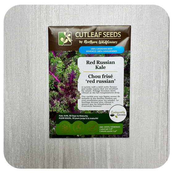 Red Russian Kale Seeds (non-GMO/Chemical Free)