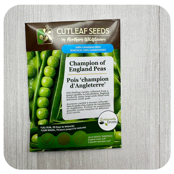 Pea 'Champion of England' Seeds (non-GMO/Chemical Free)