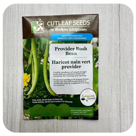 Bush Bean "Provider' Seeds (non-GMO/Chemical Free)