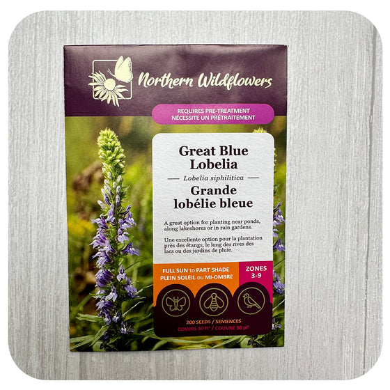 Great Blue Lobelia Seeds (non-GMO/Chemical Free)
