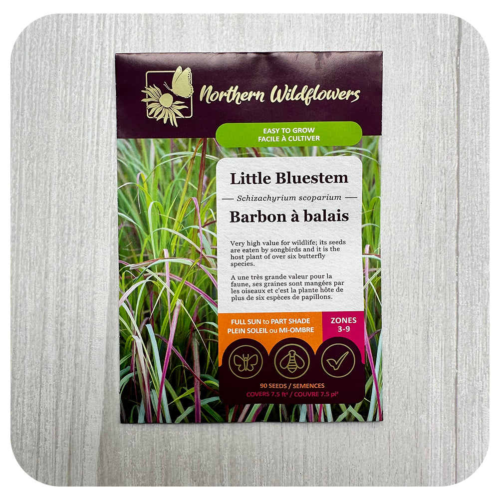Little Bluestem / schizachyrium scoparium Seeds (non-GMO/Chemical Free)