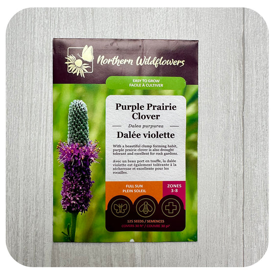 Purple Prairie Clover Seeds (non-GMO/Chemical Free)