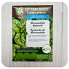 Spinach 'Bloomsdale' Seeds (non-GMO/Chemical Free)