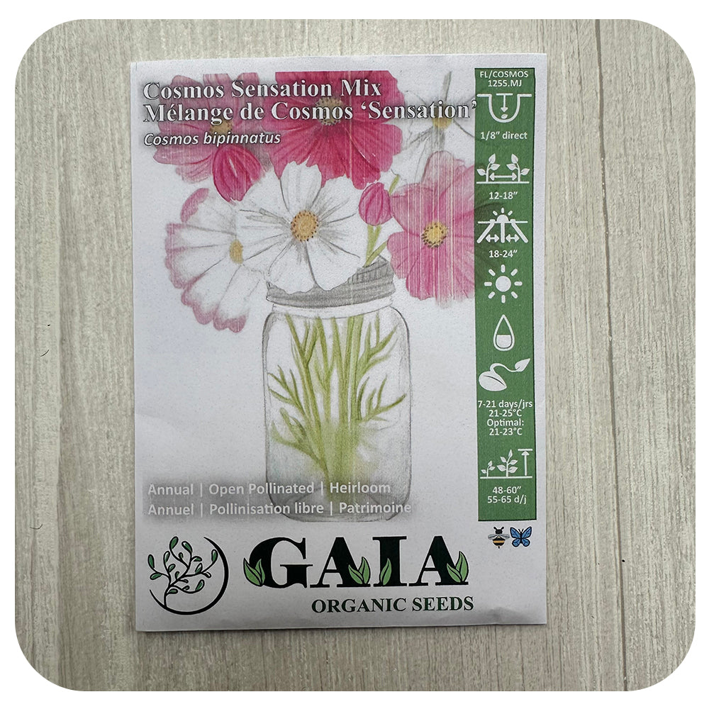Cosmos Sensation MIx Seeds (Organic)
