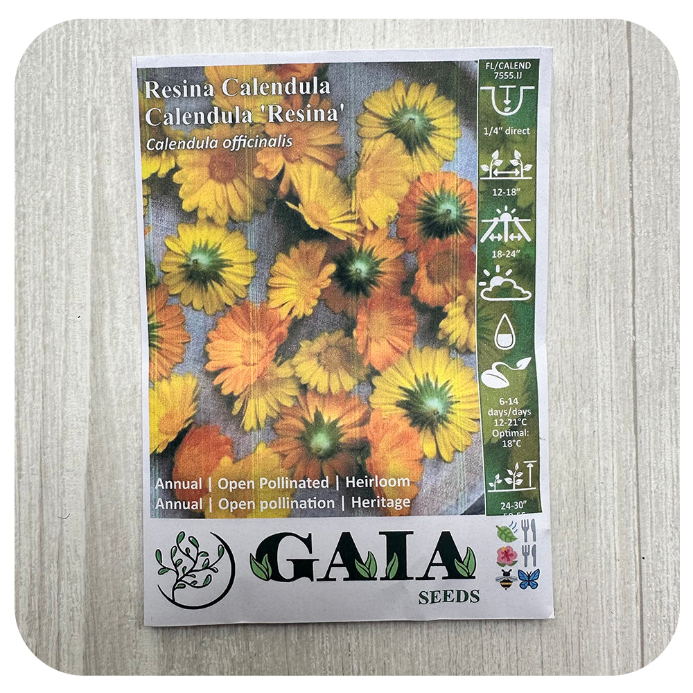 Calendula 'Resina' Seeds (Organic)