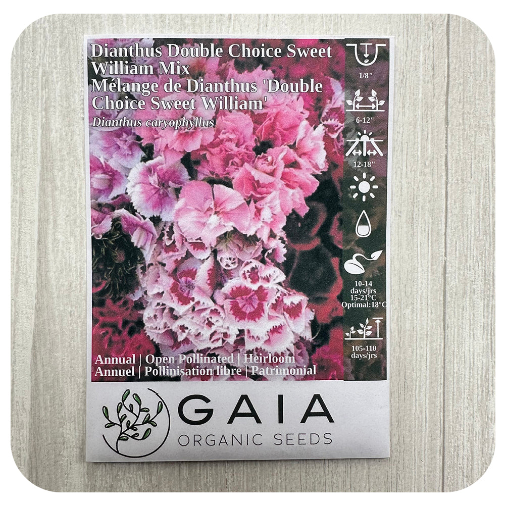 Dianthus "Sweet William' Seeds (Organic)